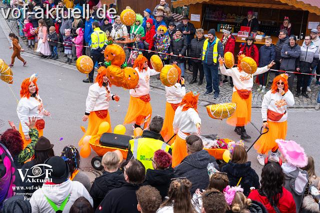 Foto Laudi_Pleintinger_Faschingszug-206099.jpg